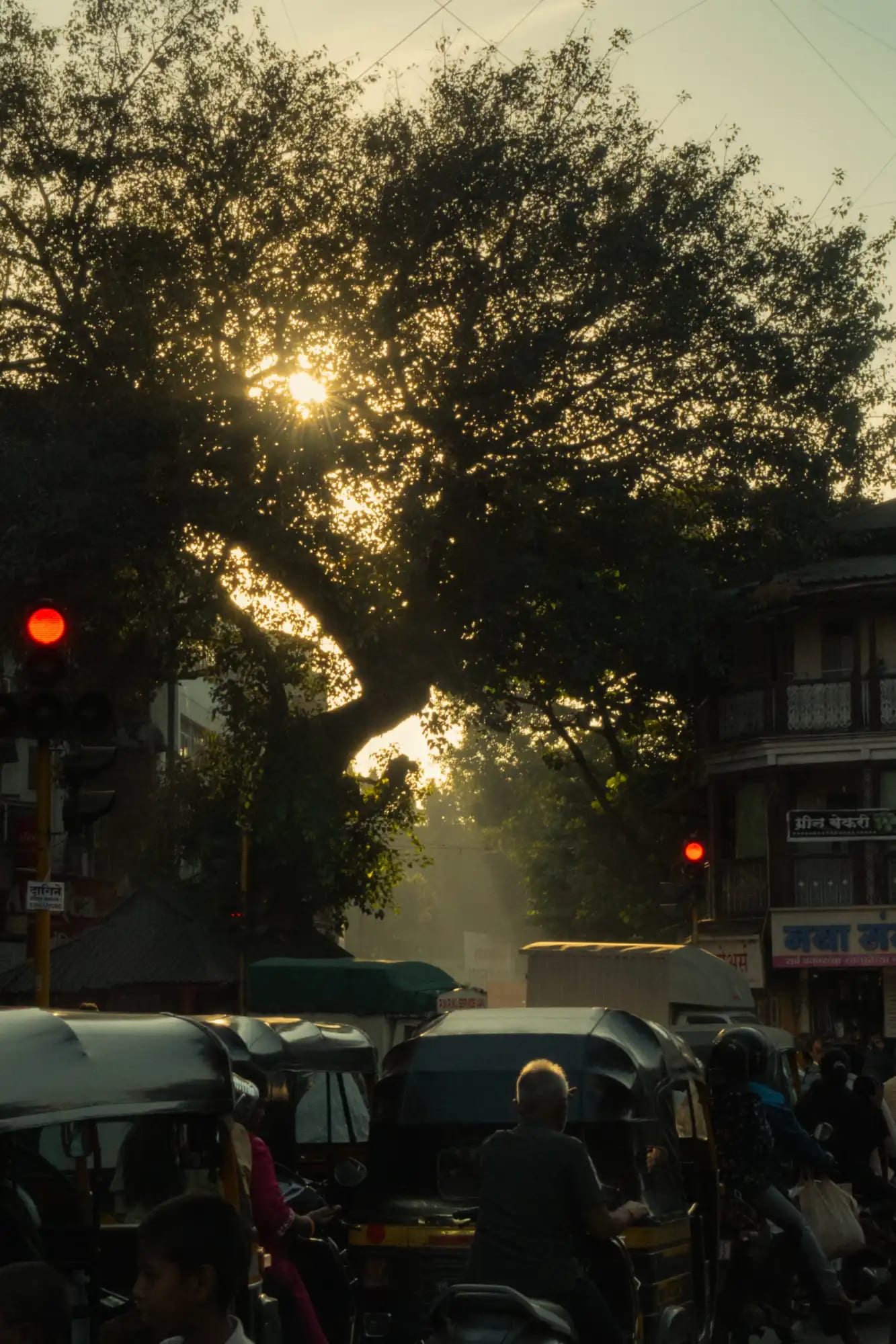 Early light coming through trees over a quiet Pune street, a traffic signal still red and almost nothing moving
