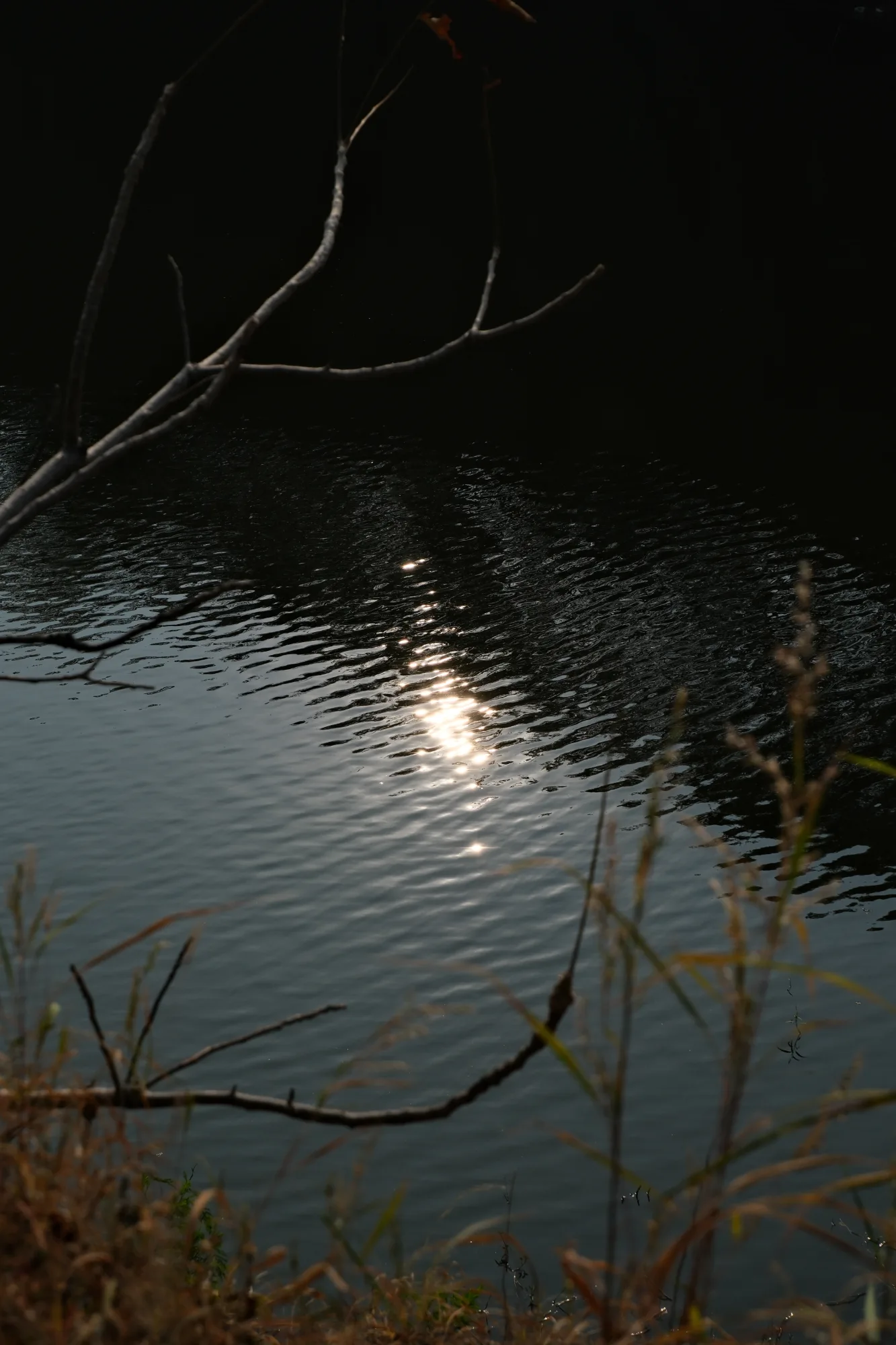 A photograph from ARAI Hills / Vetal Tekdi Morning